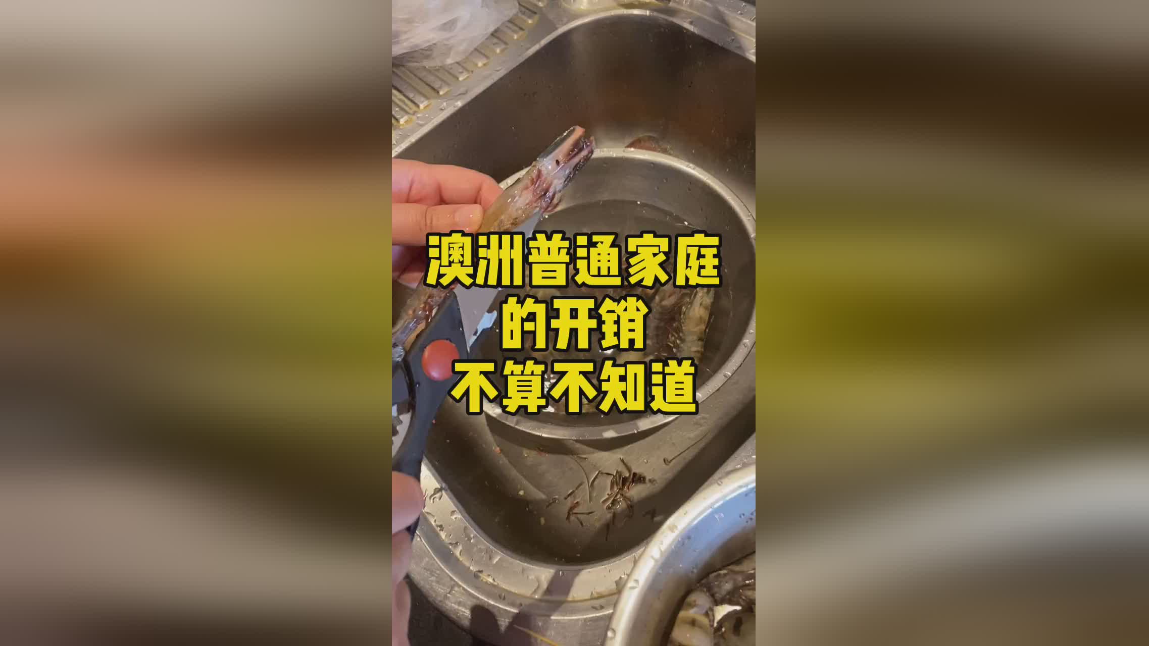 澳洲5，仅爱尔兰的生活成本就占全球的1，适应想要学习语言的人群