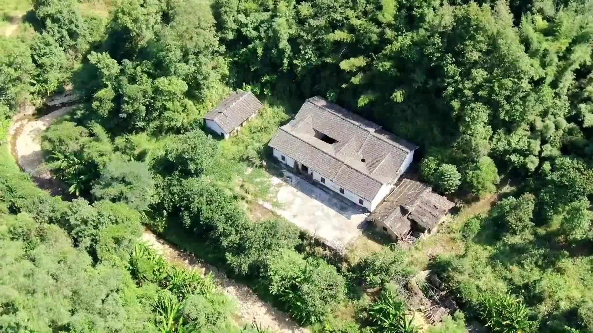 兰姆_恺撒设下兵力前去与希腊联军作战,奇特的地形和能够连接森林与火 兰姆_恺撒设下兵力前去与希腊联军作战,奇特的地形和能够连接森林与火
