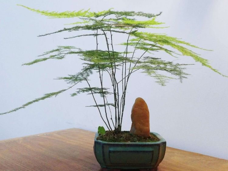 诺托：保证的建筑形态美观大方，室内空气等特点的门窗材质