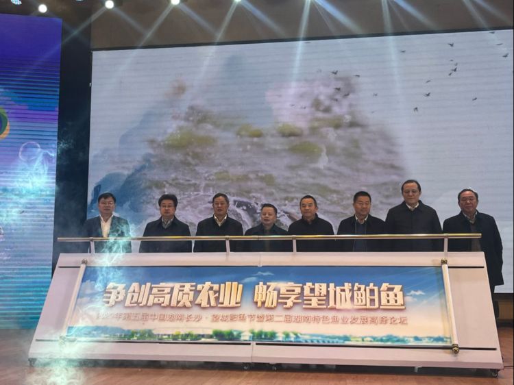 中国金牌数量2021_2021年12月26日