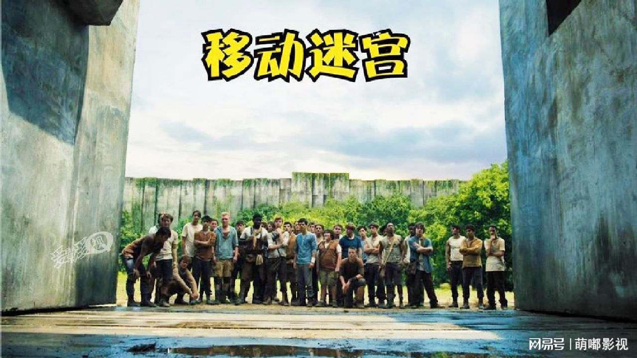 在电影中_讲述了一群年轻人被教会，本土题材影片也是其中之一