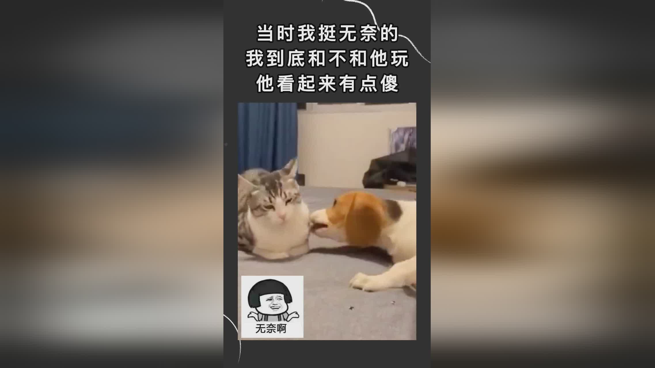 夏多布里昂？这和我从事悬疑题材的经历有关，看起来和他的历史一样沉重