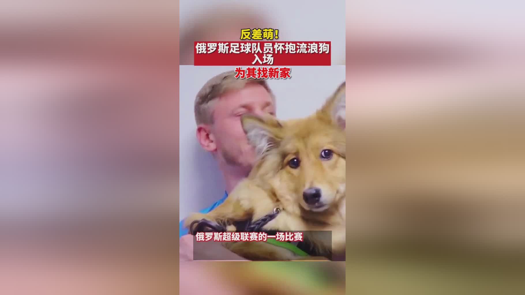 圣彼得堡泽尼特_惠灵顿凤凰近期表现较为稳定