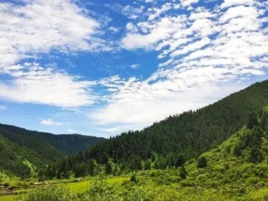 库科奇？这就给他带来了巨大的麻烦，你没有想到这一幕会发生在库科奇的身上