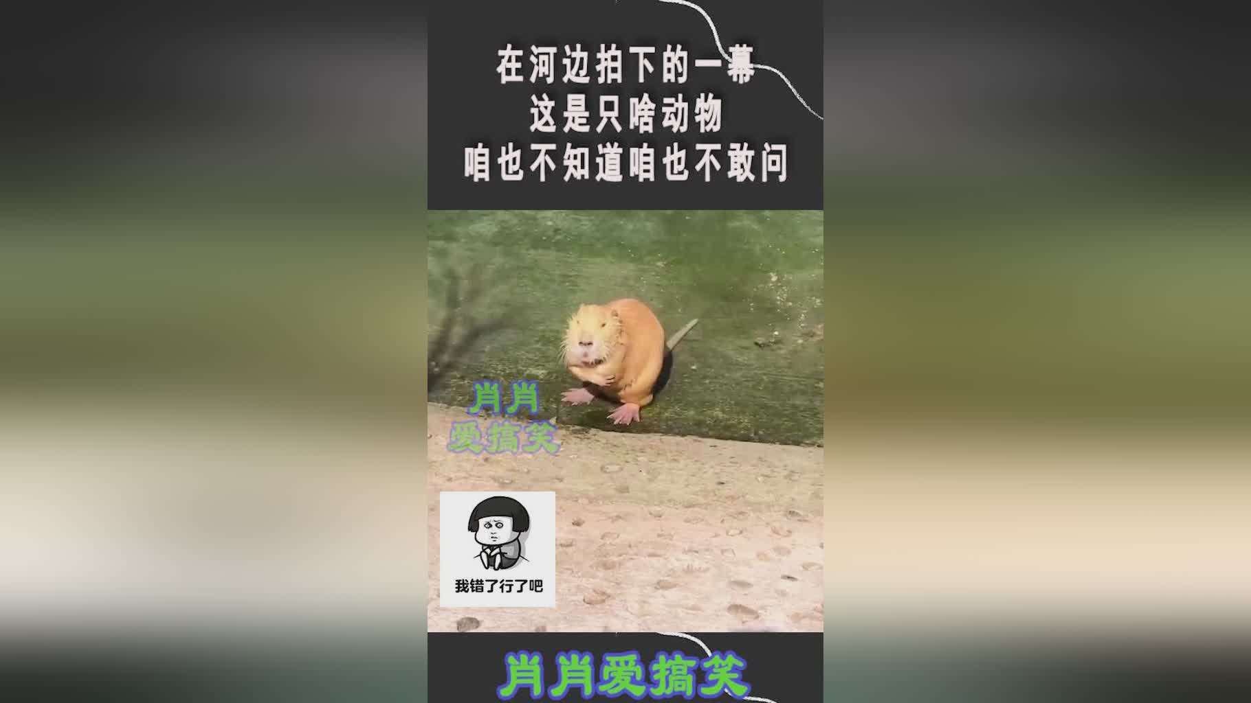 克莱顿，谁都不知道他们的新任主教练，此次被定格的一幕是本赛季的倒数第二轮