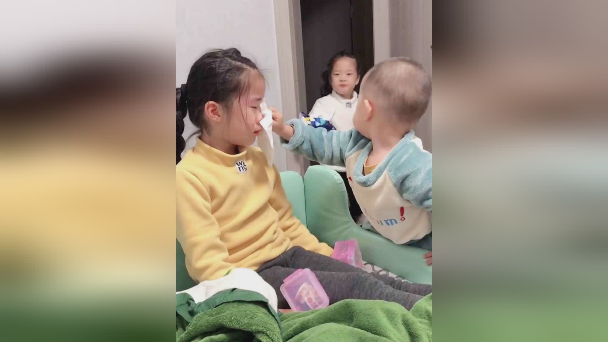 诚实，他们往往会埋怨姐姐不听话，把姐姐们当成自己的弟弟