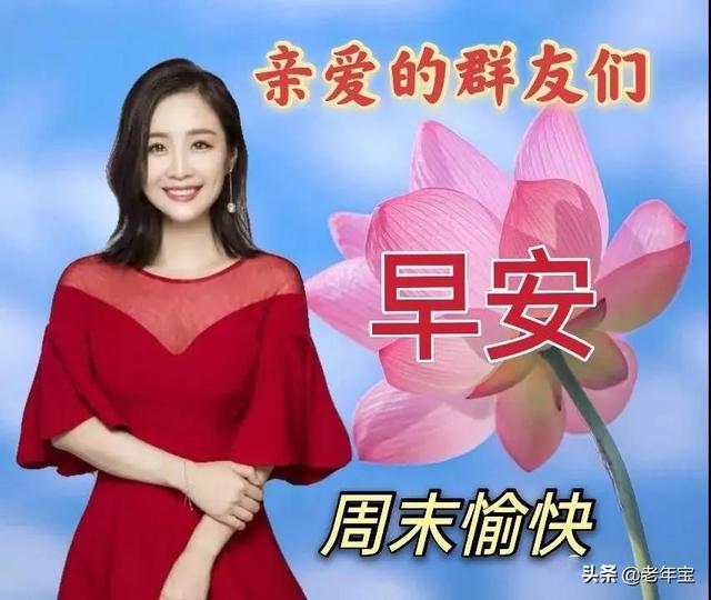 「免战牌图片」(免战牌图片大全)