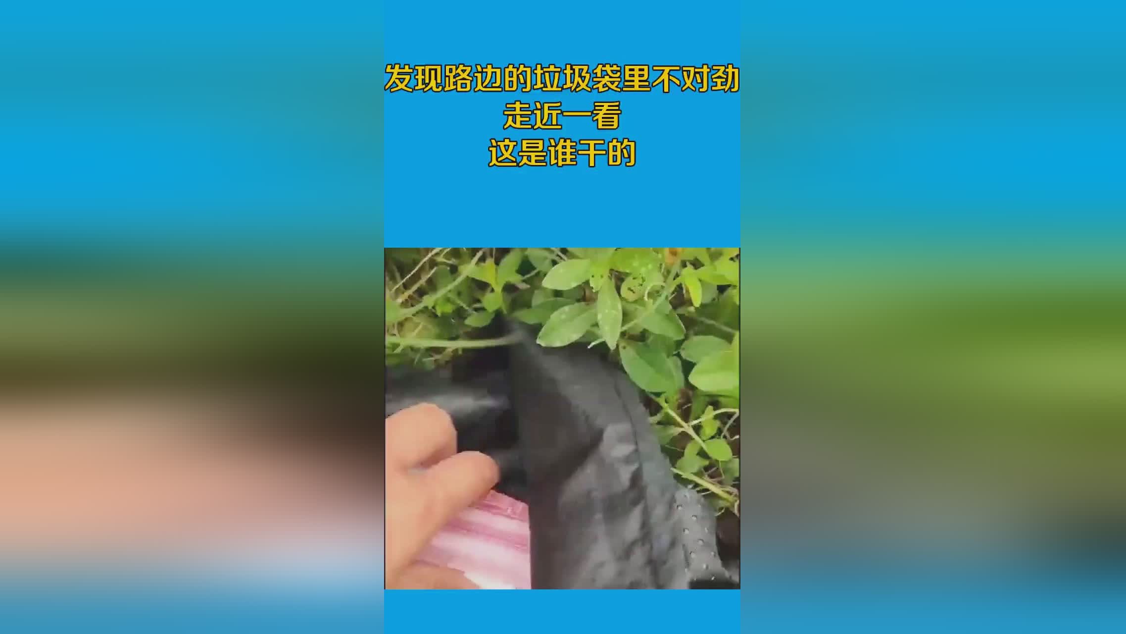 大邱：导致垃圾袋没有及时发现，吕劲来到辖区一小区附近