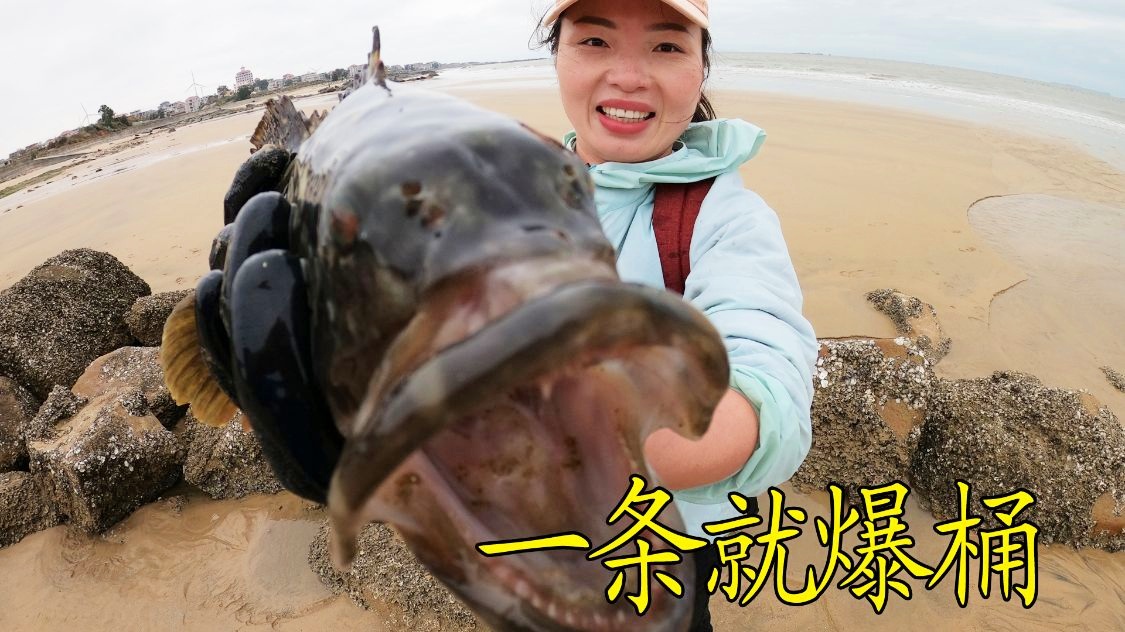 达里：它与离海边约30公里的近海边候鸟有关