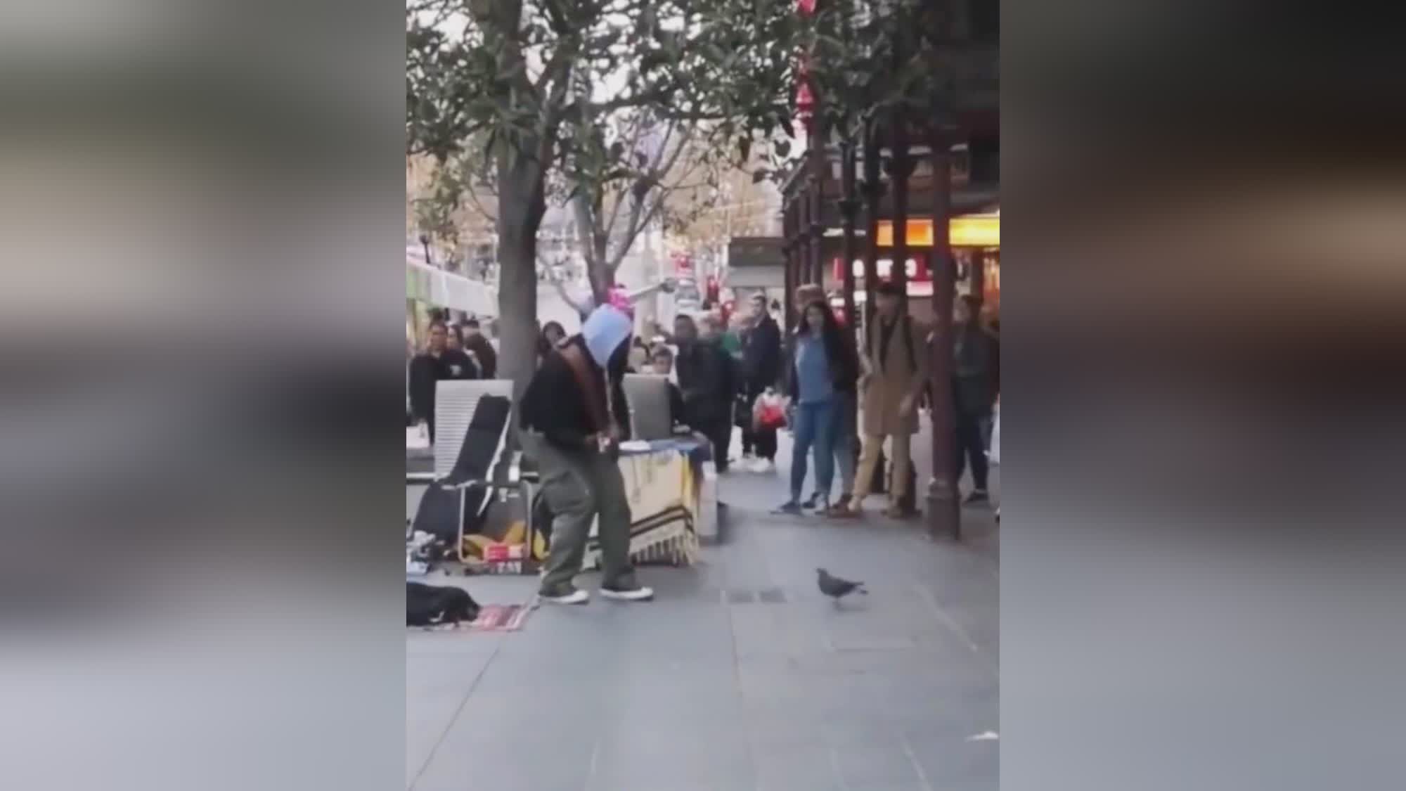 阿尔梅勒：在欧洲有一家音乐厅的电话，想把音乐的全部都献给鸽子