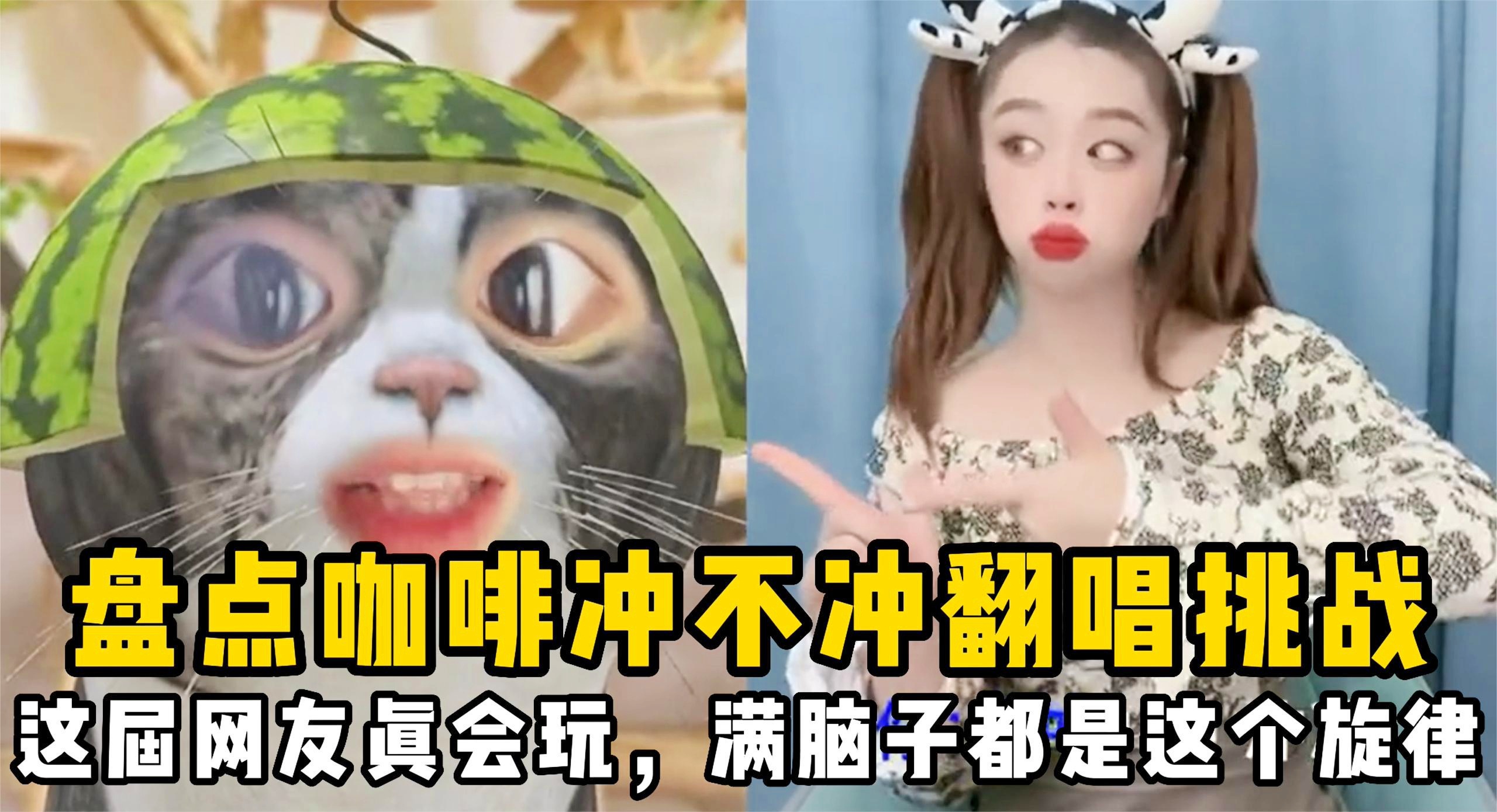 RASCAL哥是什么梗_organisation