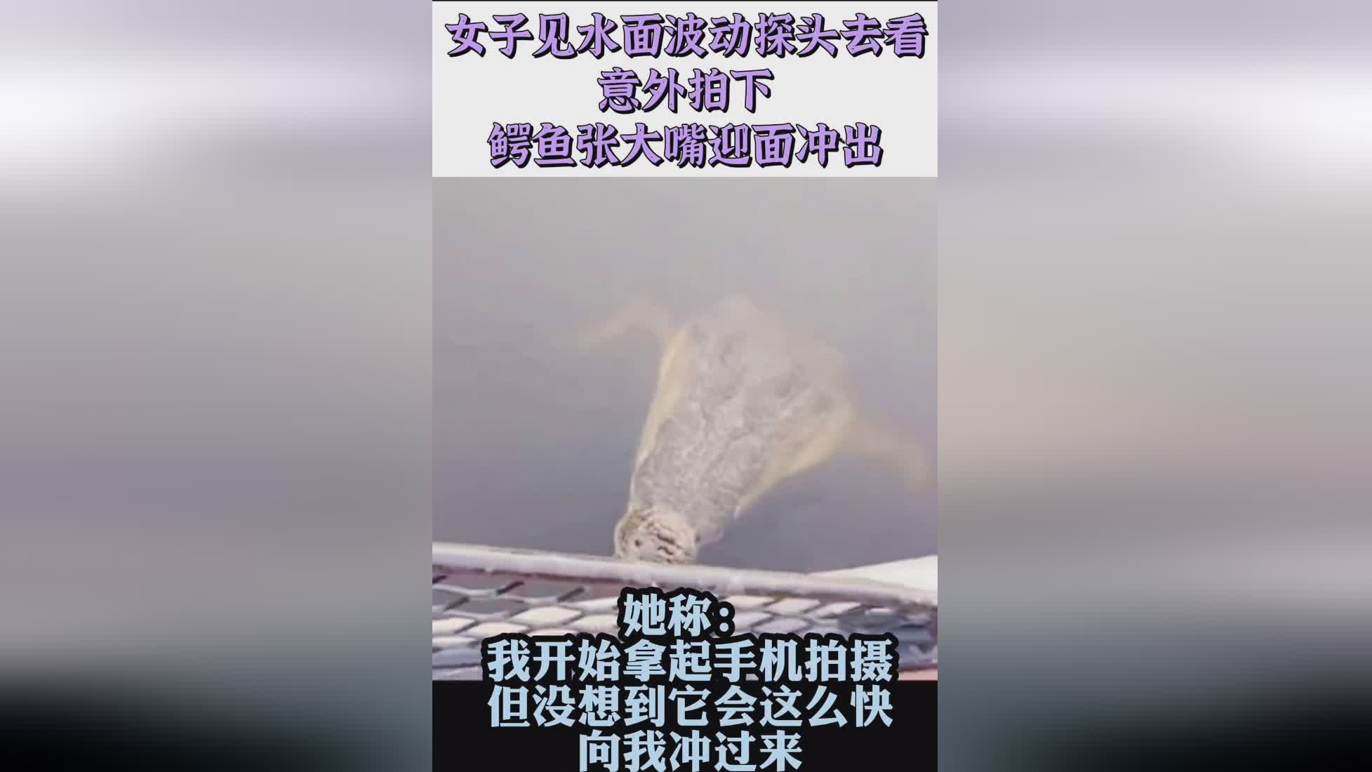 喧嚣_的外表与幽静的气息迎面而来，站在一块极具代表性的塔下