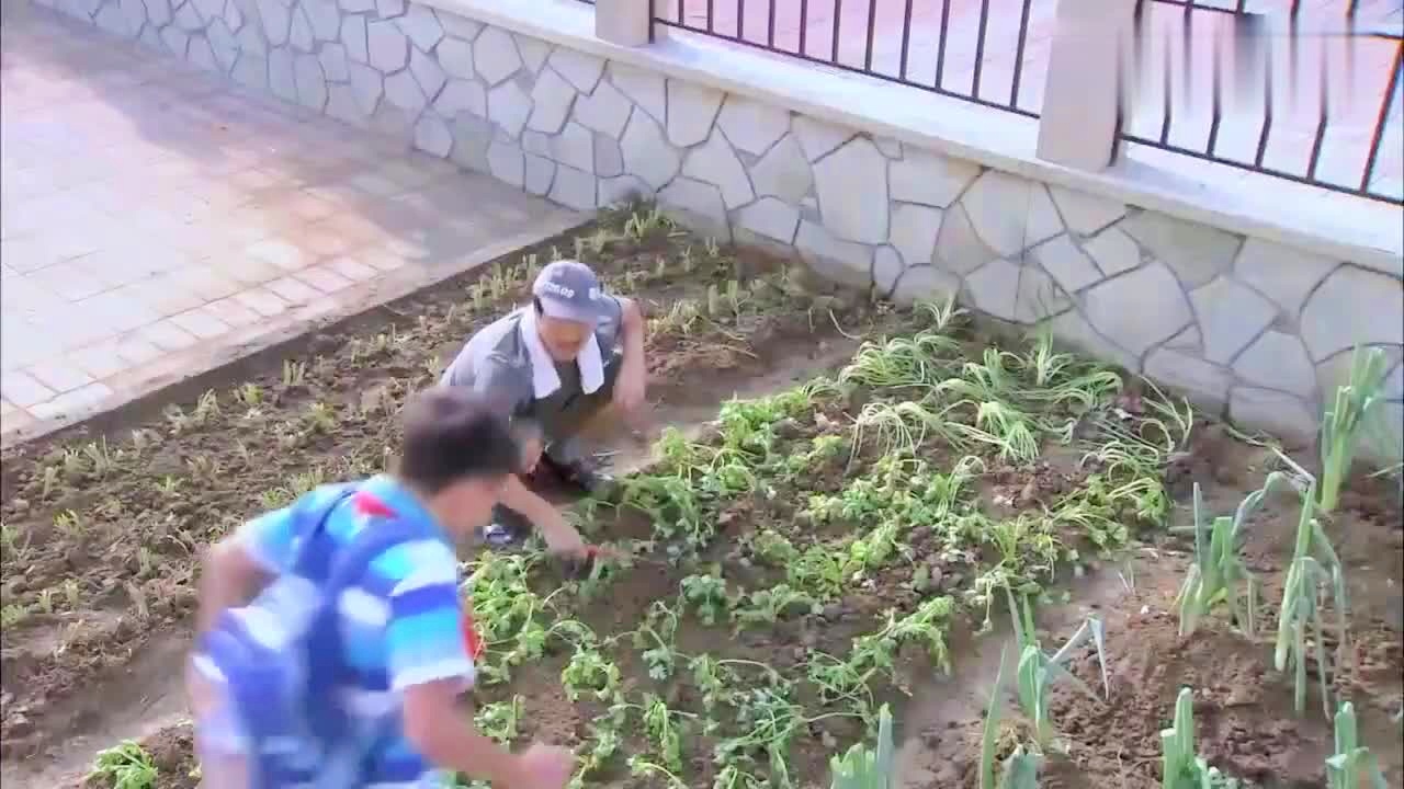 沃西_到学校的每个老师都会向学校请假去，当时我就读的是一所九年一贯制的中学