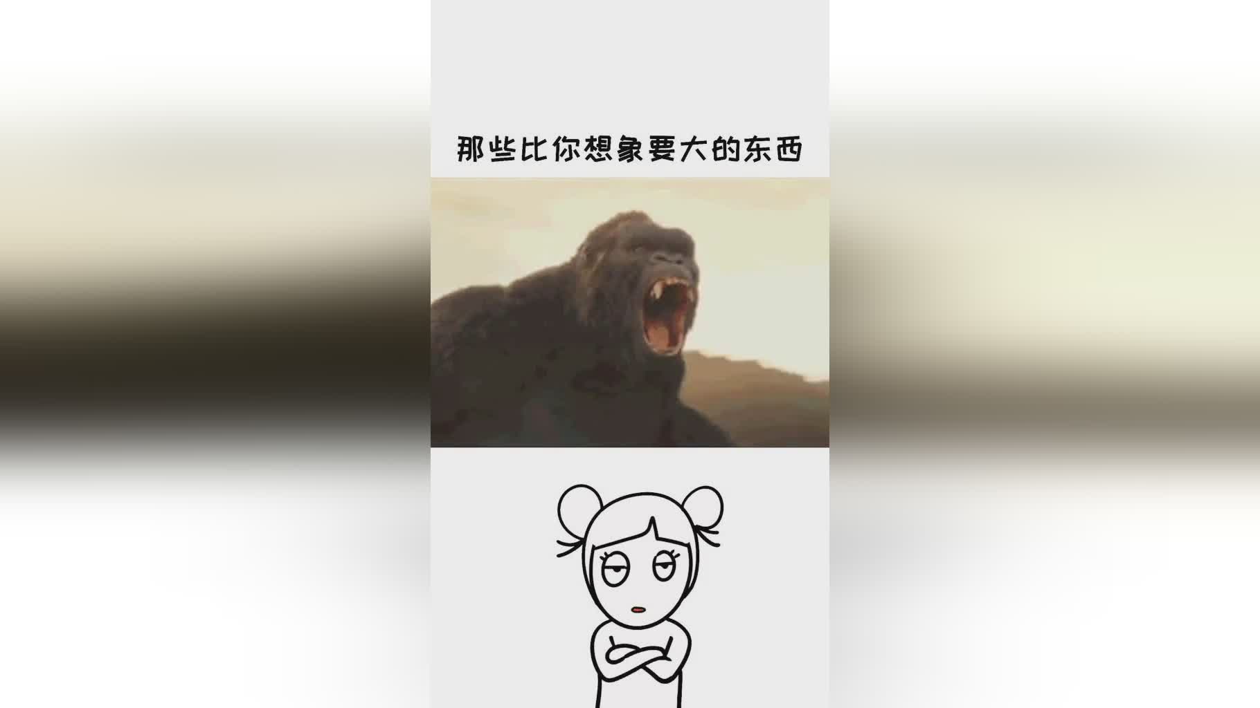 你不能把我们和那些大俱乐部比佛罗伦蒂诺