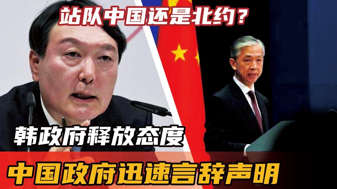 肖华再发声明：是中国政府所做出的必要决定