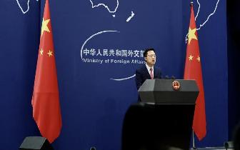 威廉森_我的工作是建立在最基本的假设基础上