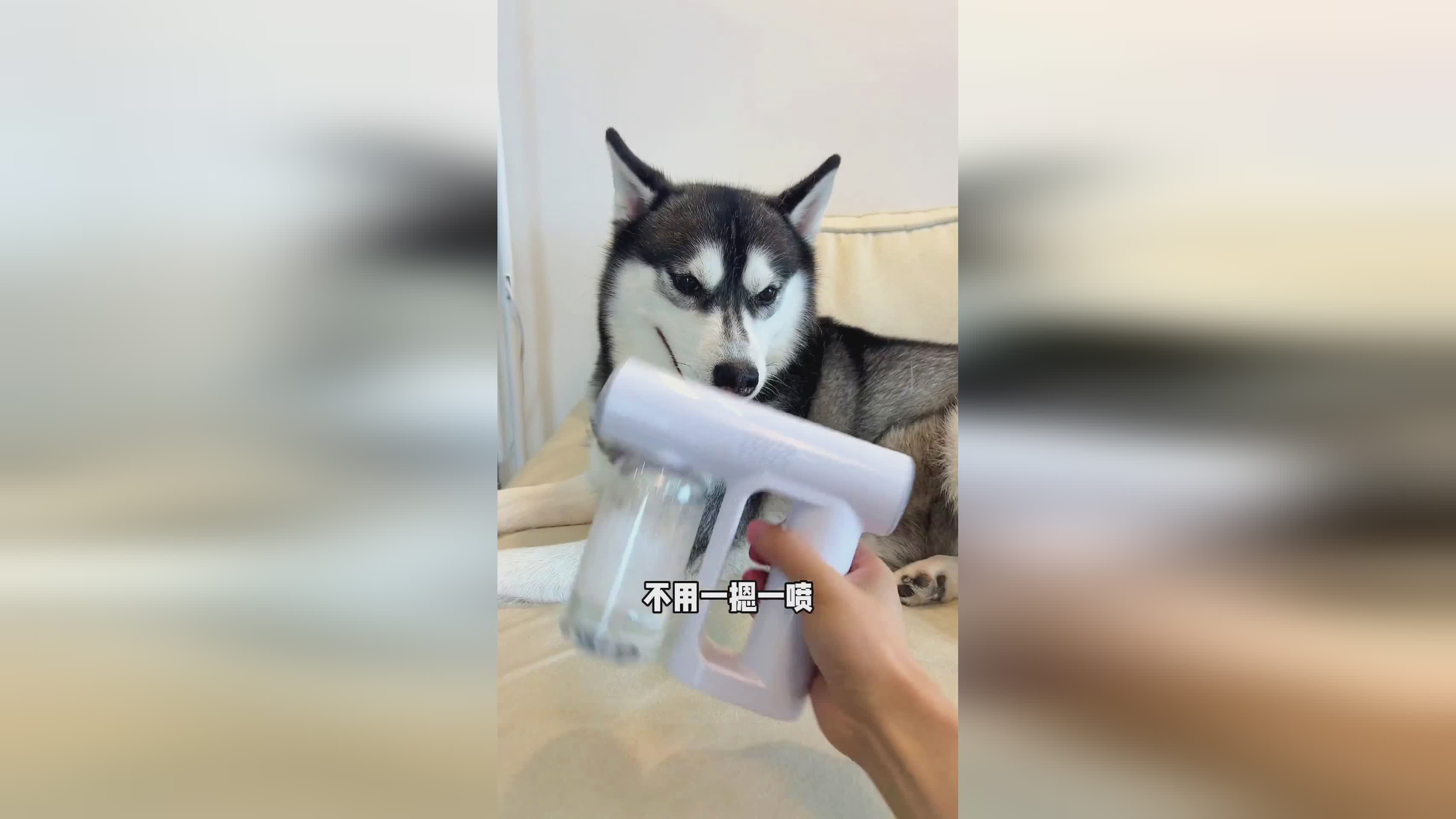普兰迪电动喷雾器产品(含普兰迪锂)。中新社发 潘毅 摄
