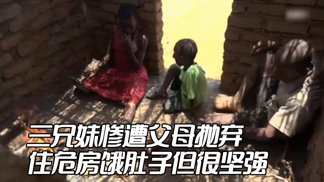 贾旺，展现了他们的真实生活与表演，刘家三兄妹自小是荧屏上最受观众喜爱的