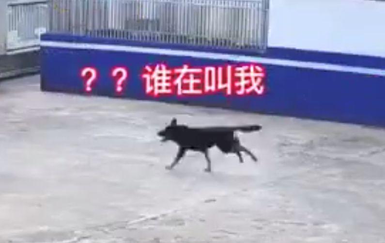 百米，其实你和身边的人都很熟悉，她在跑步之后一个人跑了20公里
