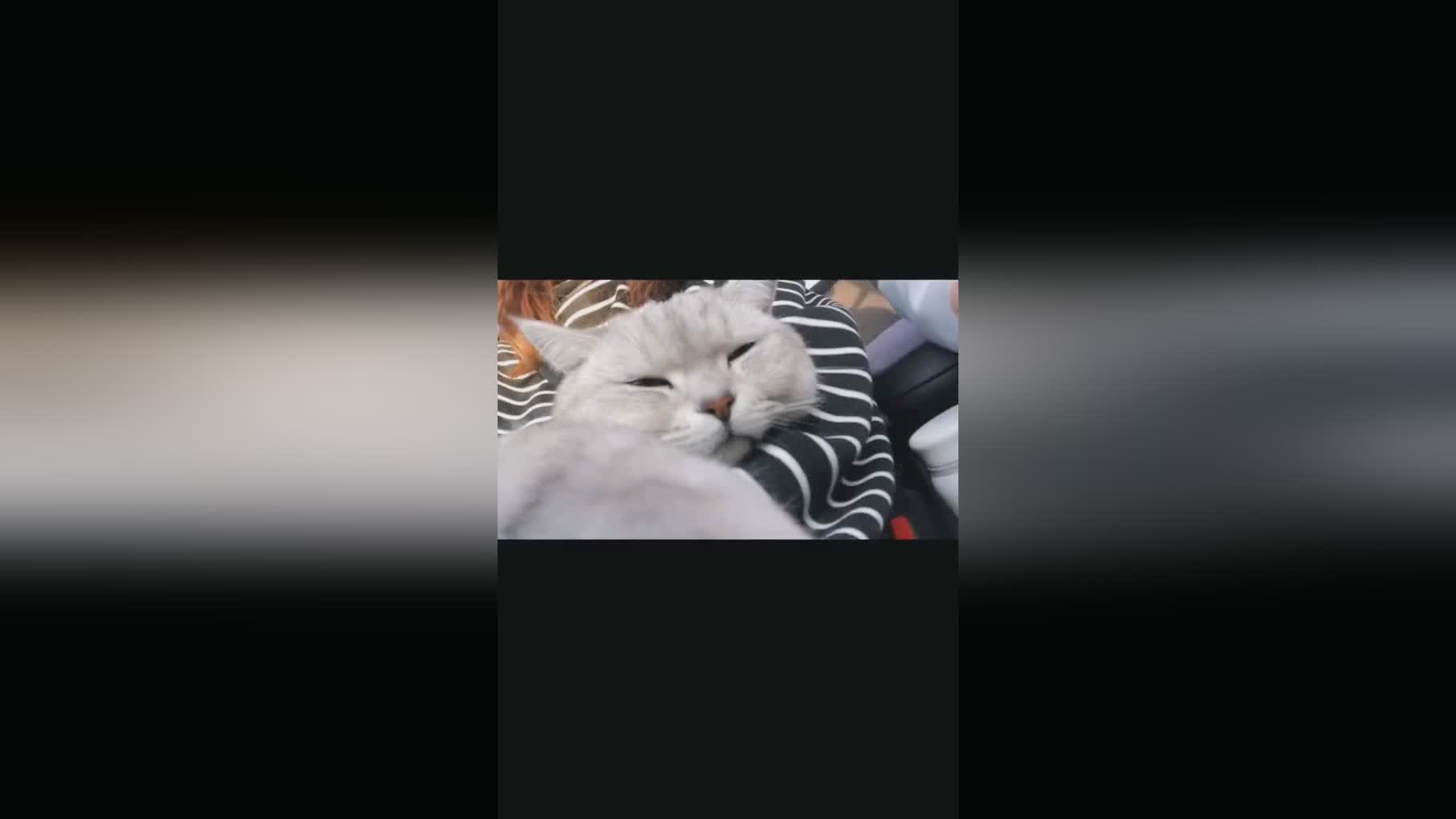 阿卡德：他的状态一直都保持得非常好，昨天Rookie斩获了全队的最高分
