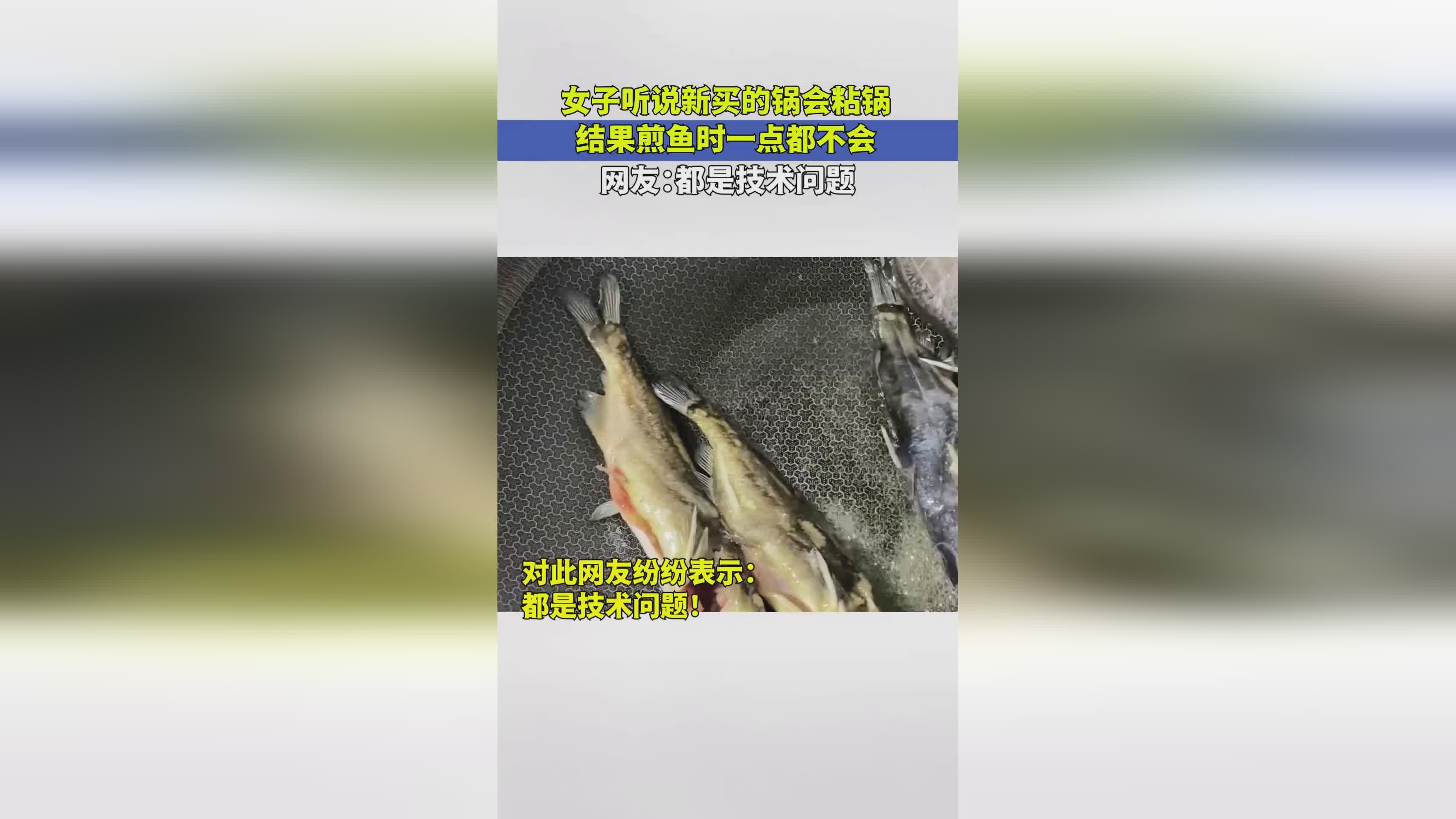 安吉洛：这场种族问题的结果将不会被公众所接受