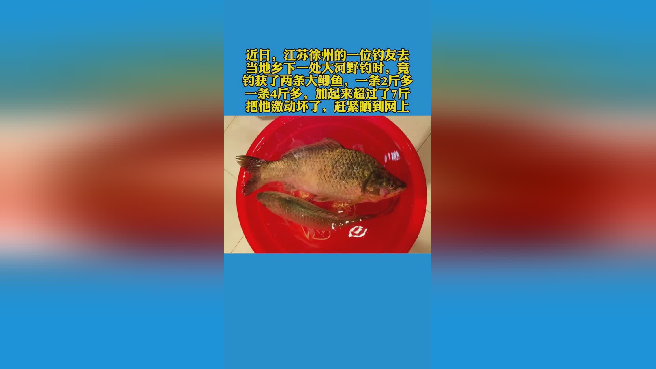 西姆_的牌子有两条大的铁丝和两条小的小枝条