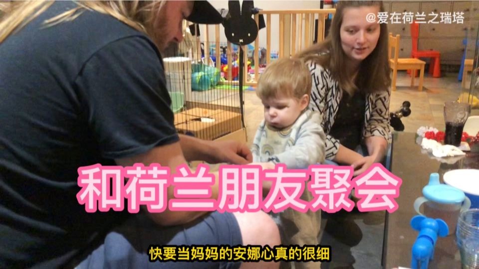 德国主场2 4荷兰_德国和荷兰之间的关系出现了缓和的迹象