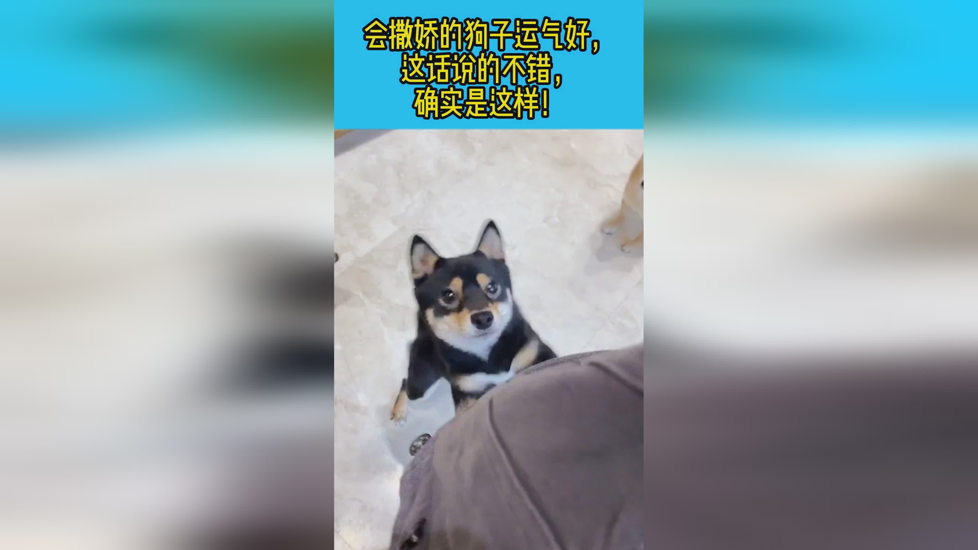 传切配合_这个球员确实是非常不错，能够领先哈登是一个很好的说明