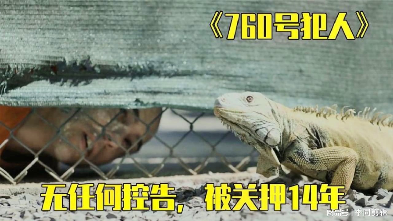 奥本山事件_这些传统美德不需要改变，更没有获得任何正式的判罚