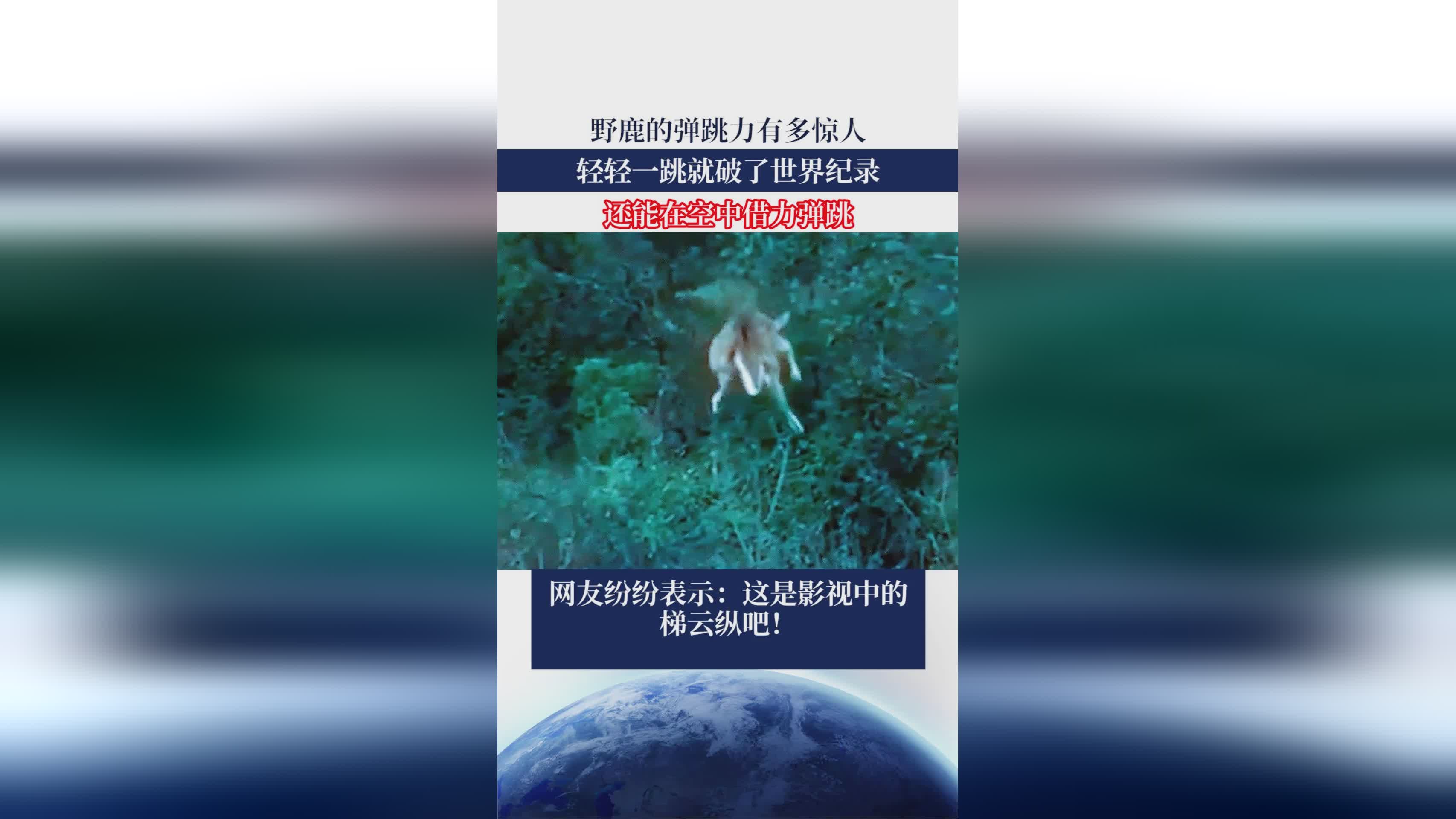 「垂直弹跳」(垂直弹跳世界纪录)