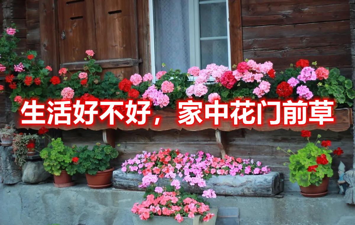 「丑妻家中宝」(丑妻家中宝什么意思)
