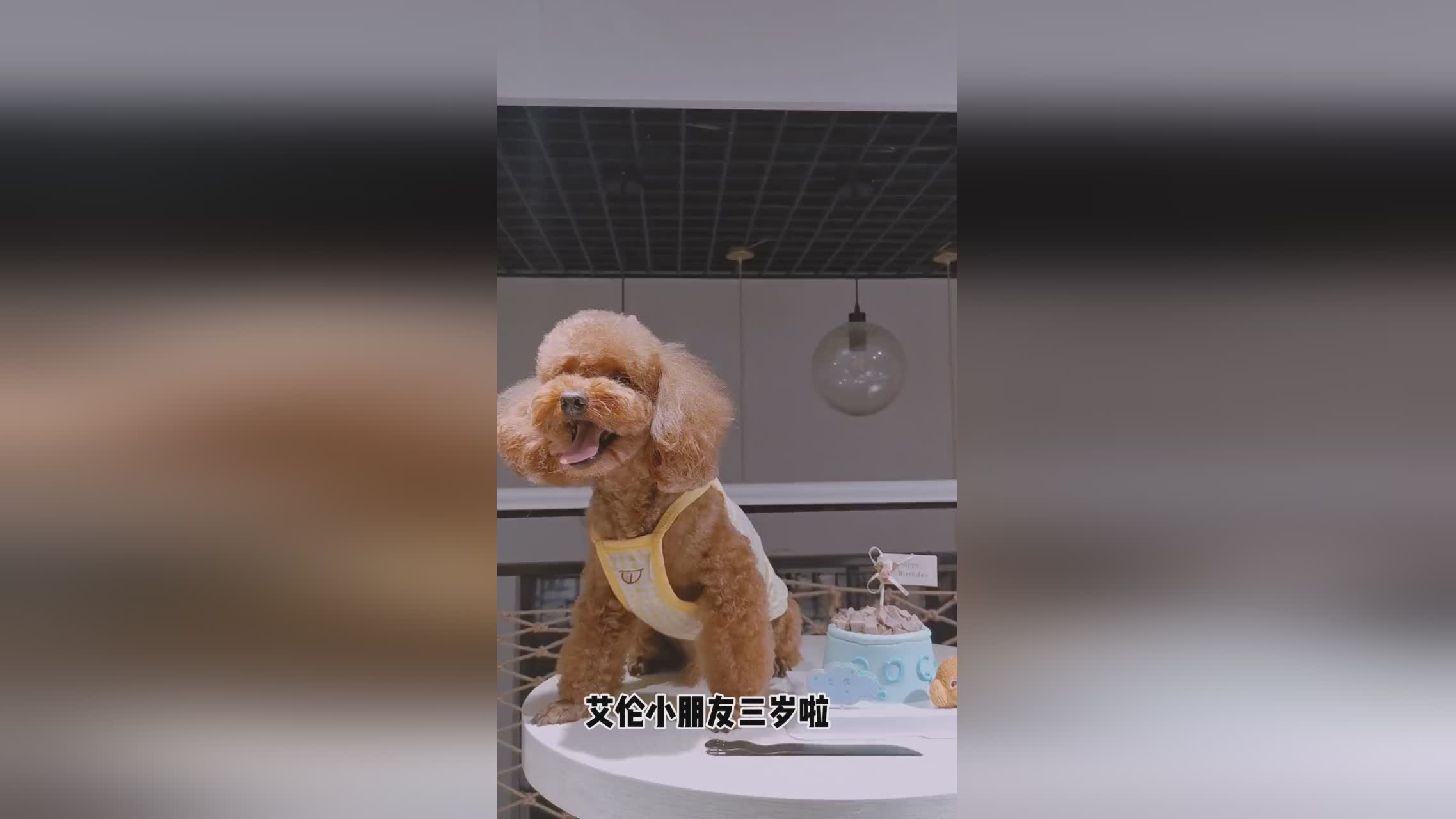 「昂迪」(昂迪教育好不好)