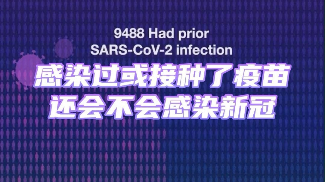 巴拉圭：杂志网站近期发布的一项研究显示，卡塔尔民众完全接种新冠疫苗