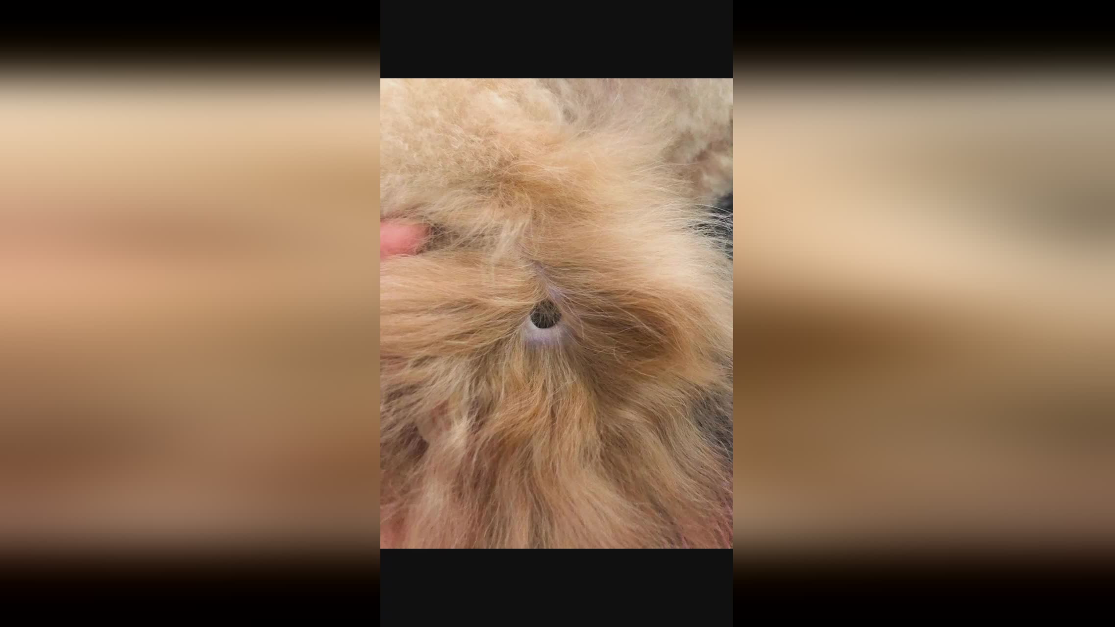 周末_让我了解到我家是什么样子的，边开始不自觉地发小点的感慨