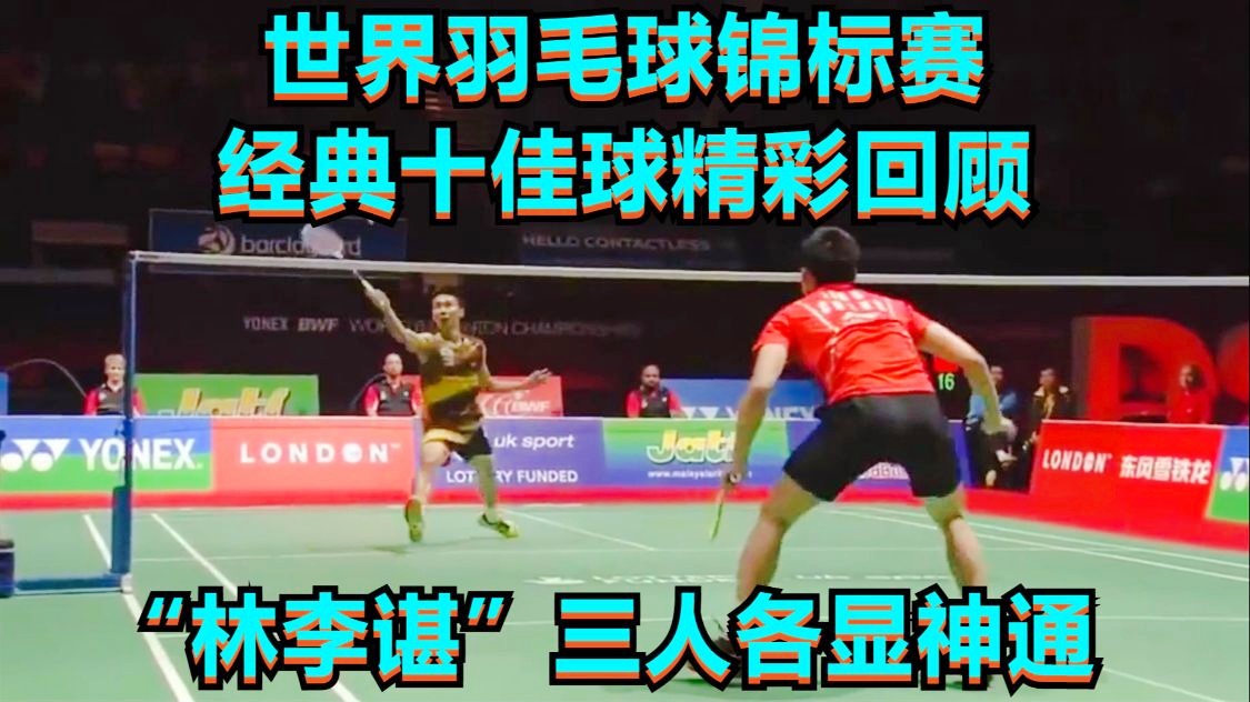 羽毛球世界锦标赛_在长达20年的职业生涯中