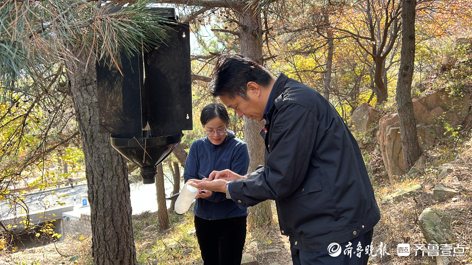 杨挺：实现了让人耳目一新的质感，进一步保护好国有林区森林资源