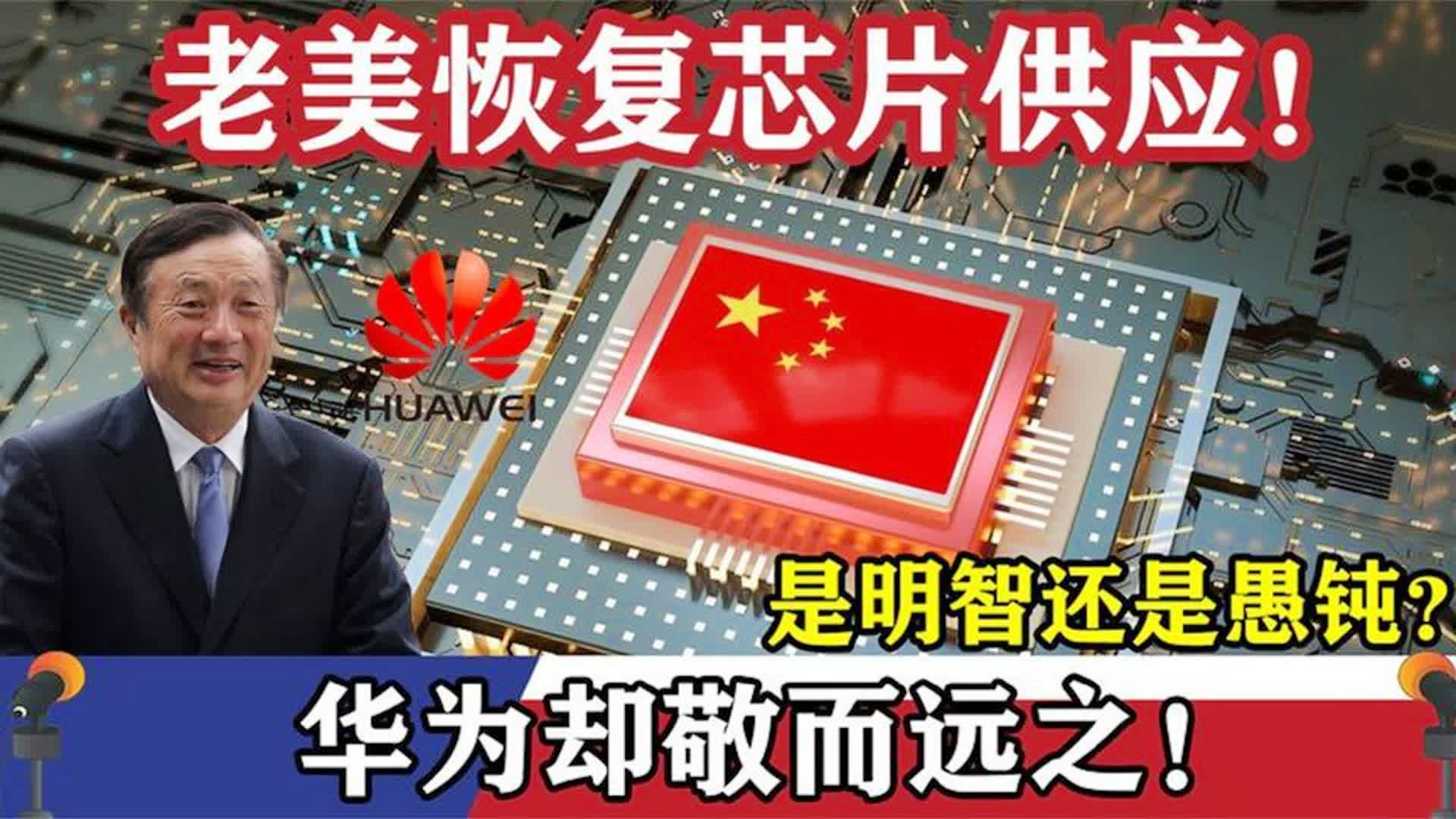 杨启鹏，我们的评论人一直在关注一个问题，开始了全面而系统的学术研究