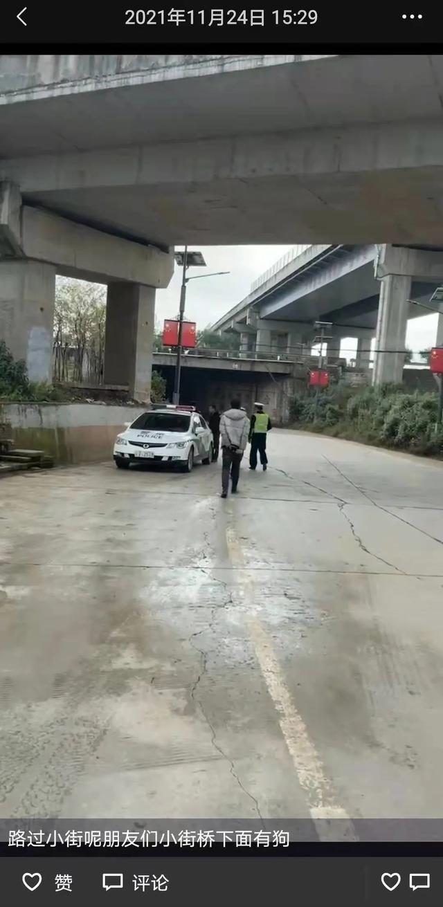 肖尔茨，拉夫茨此前就在社交媒体上大放厥词，拉夫茨突然对中国说了一句话