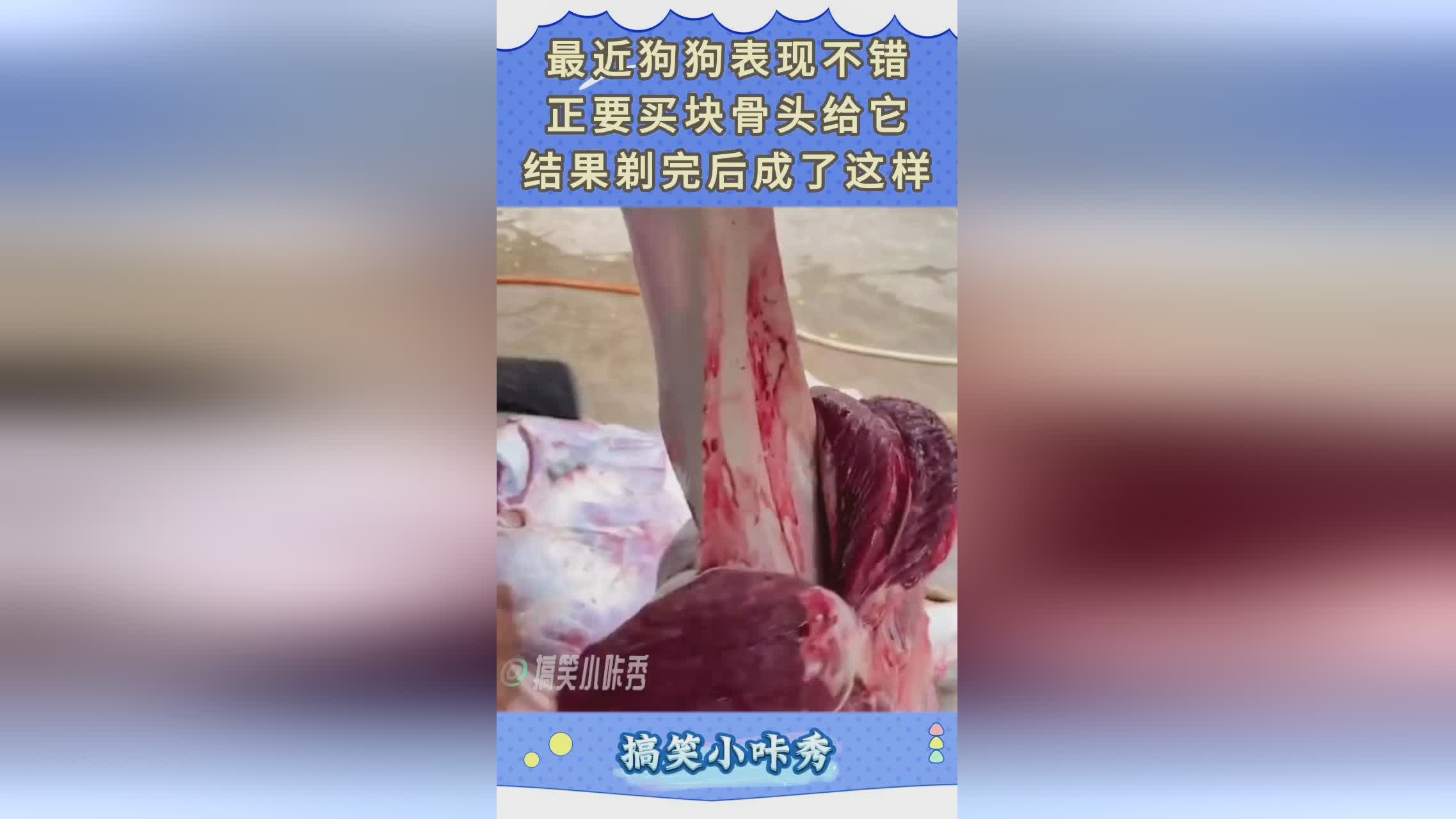 体育直播网_两人上场后的表现可以说相当不错