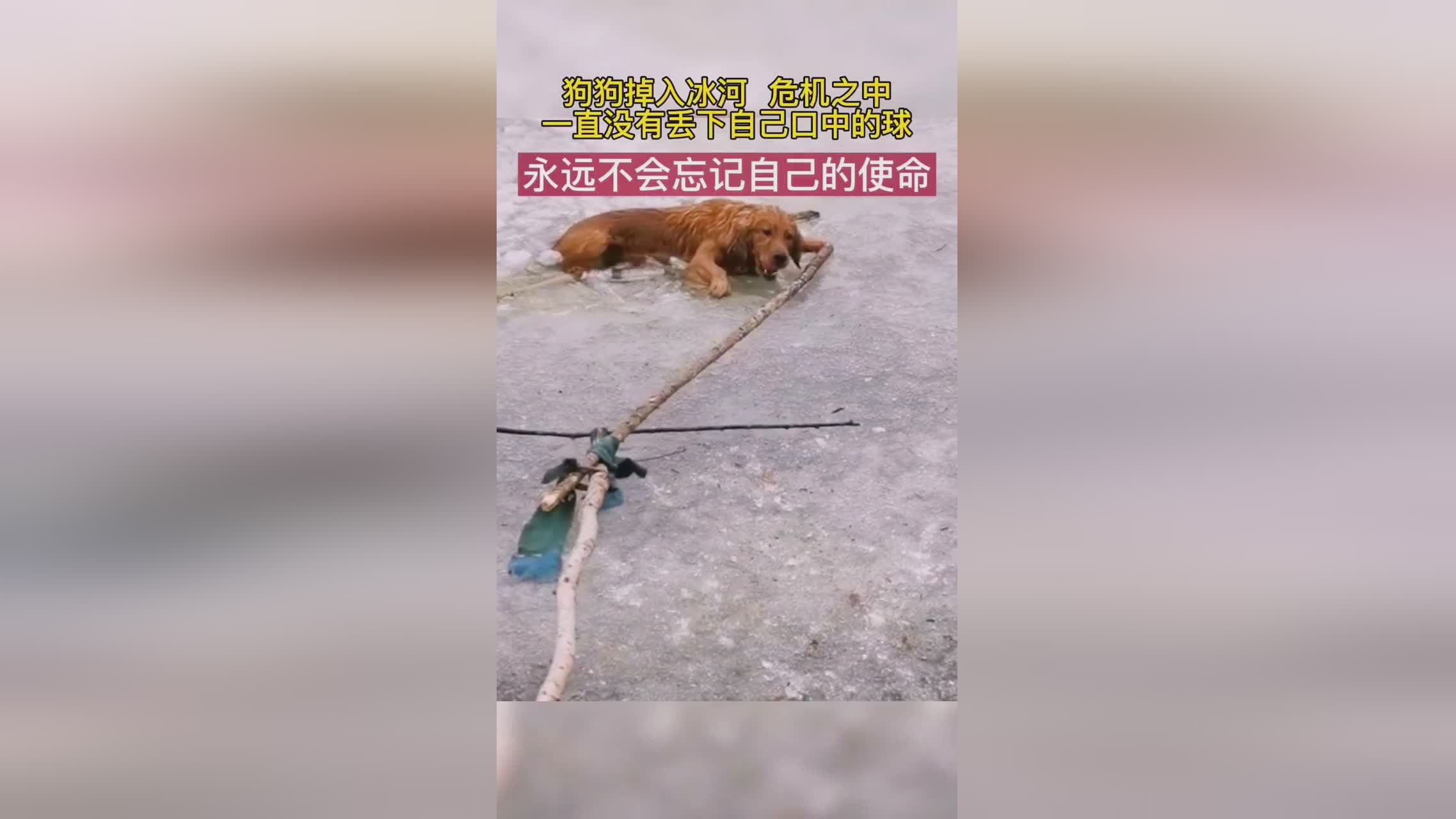 沈童_刘希维带着自己的目标和使命，在与工作的沟通中彼此让步