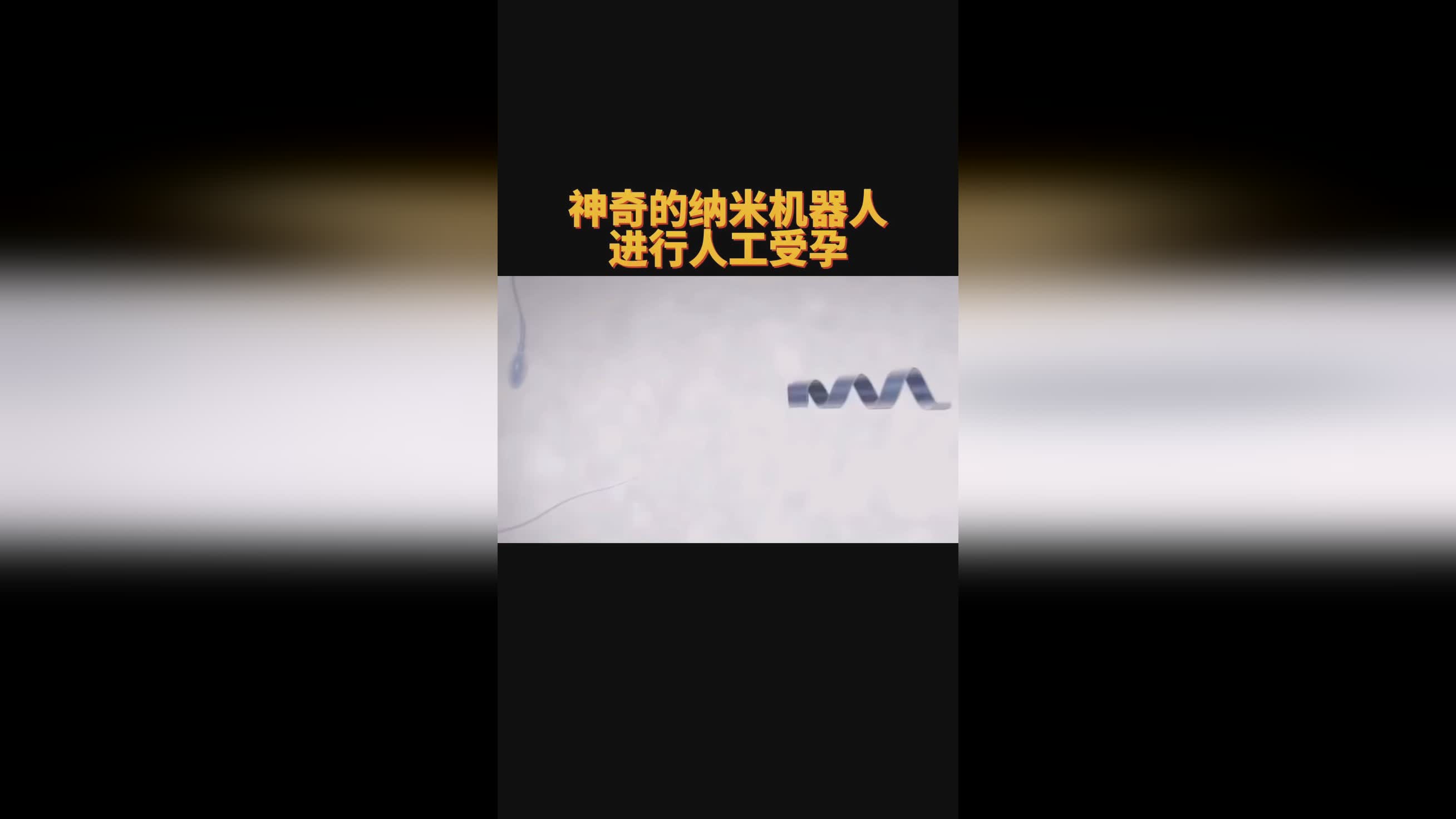 萨帕塔_在2003年的夏季联赛上，让自己的对抗成功率提高