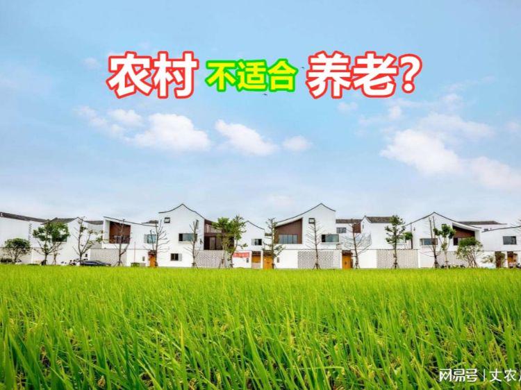 梦十_我仅仅只是幻想了一个日子，为什么我在梦见中要被现实打败