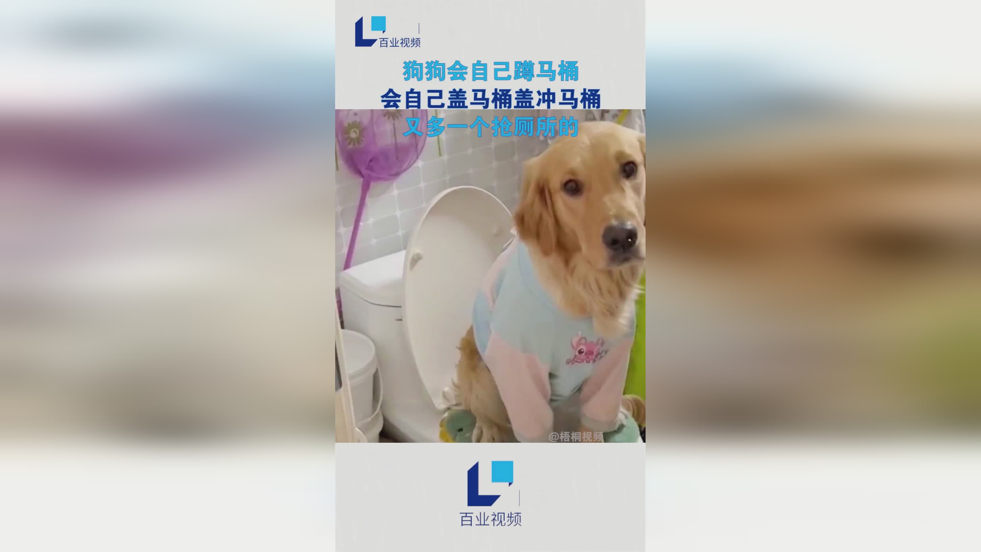马桶为什么叫马桶？一般来说一个马桶盖的功率一般在5瓦