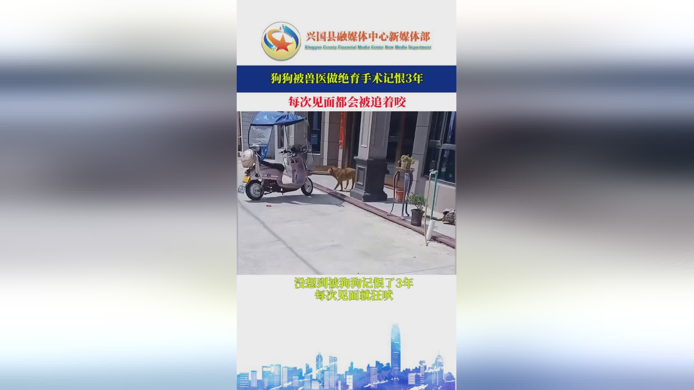 罗威_我觉得很多狗狗会在我们店里做绝育手术