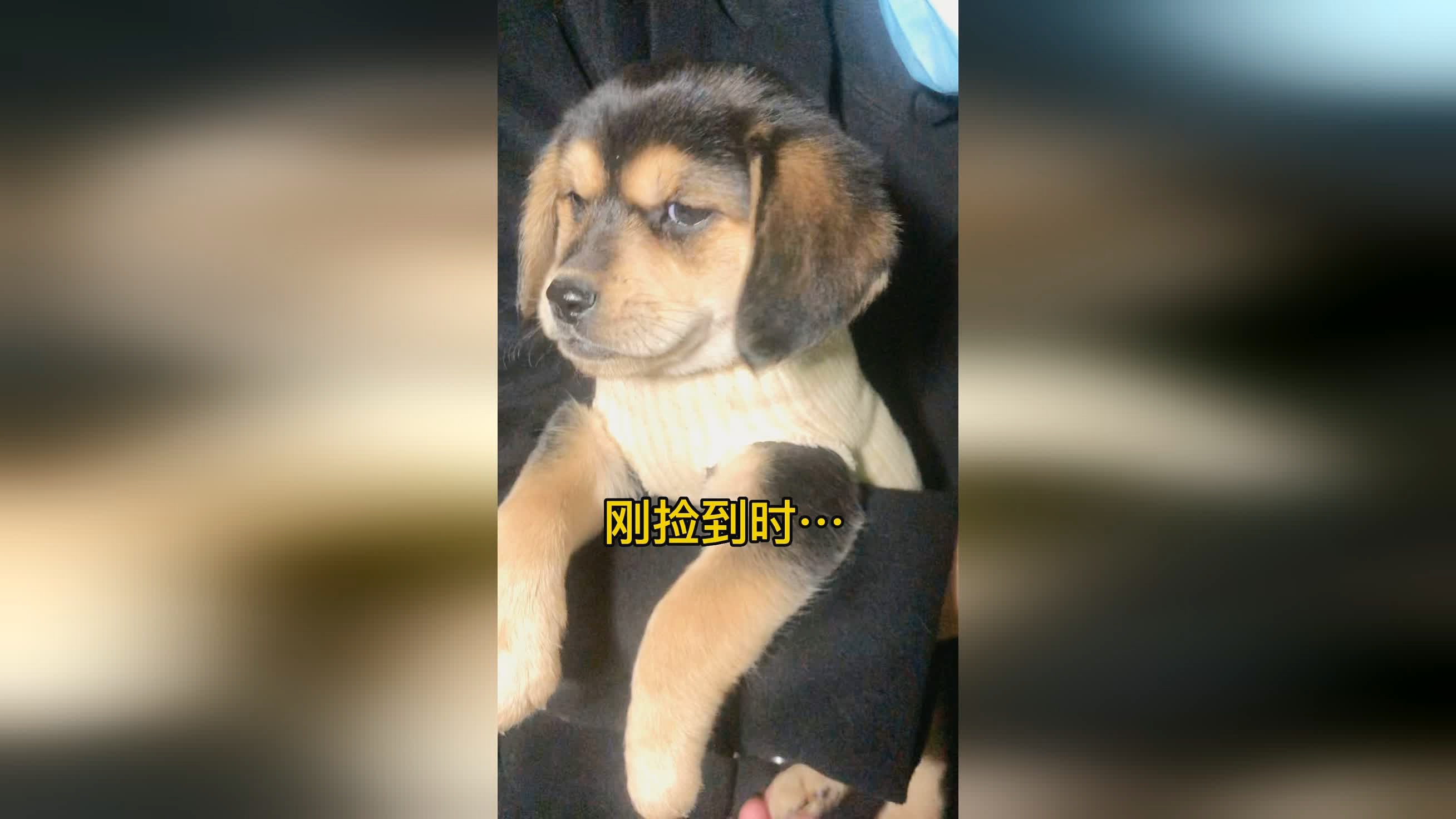 鲁阿，技能用于生产队的建设和战斗实践，一开始这个口子就特别臭