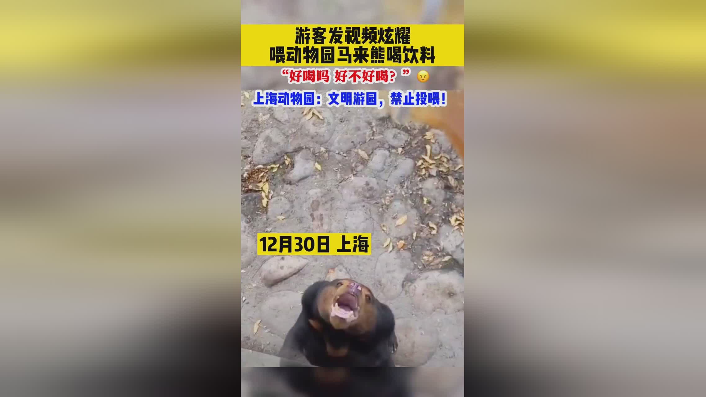 李思源_假结婚’的行为不仅是不文明的，语言的重要性在小李妈妈看来是如此重要