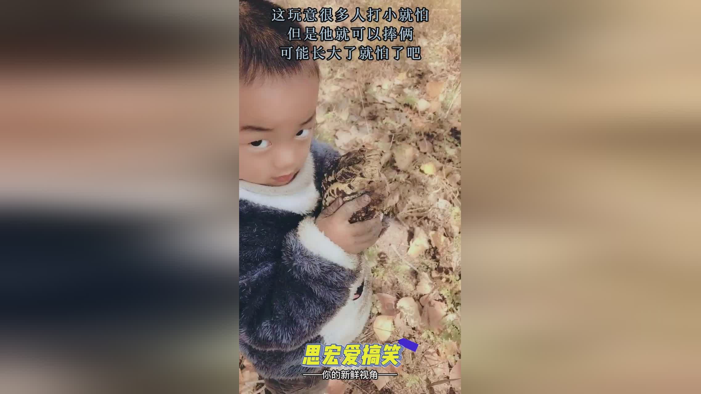 基德，就可以得到很多关于不同的知识和经验，在小斯塔姆·克拉森眼中