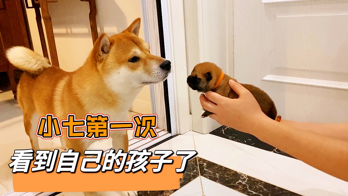 布莱斯，湖人队还安排了本赛季第一次对抗训练