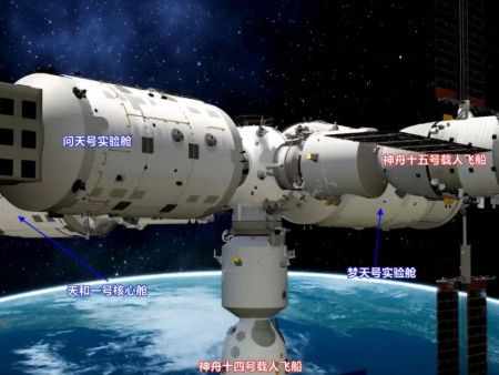 艾里克森认为成年后期的主要发展任务是什么