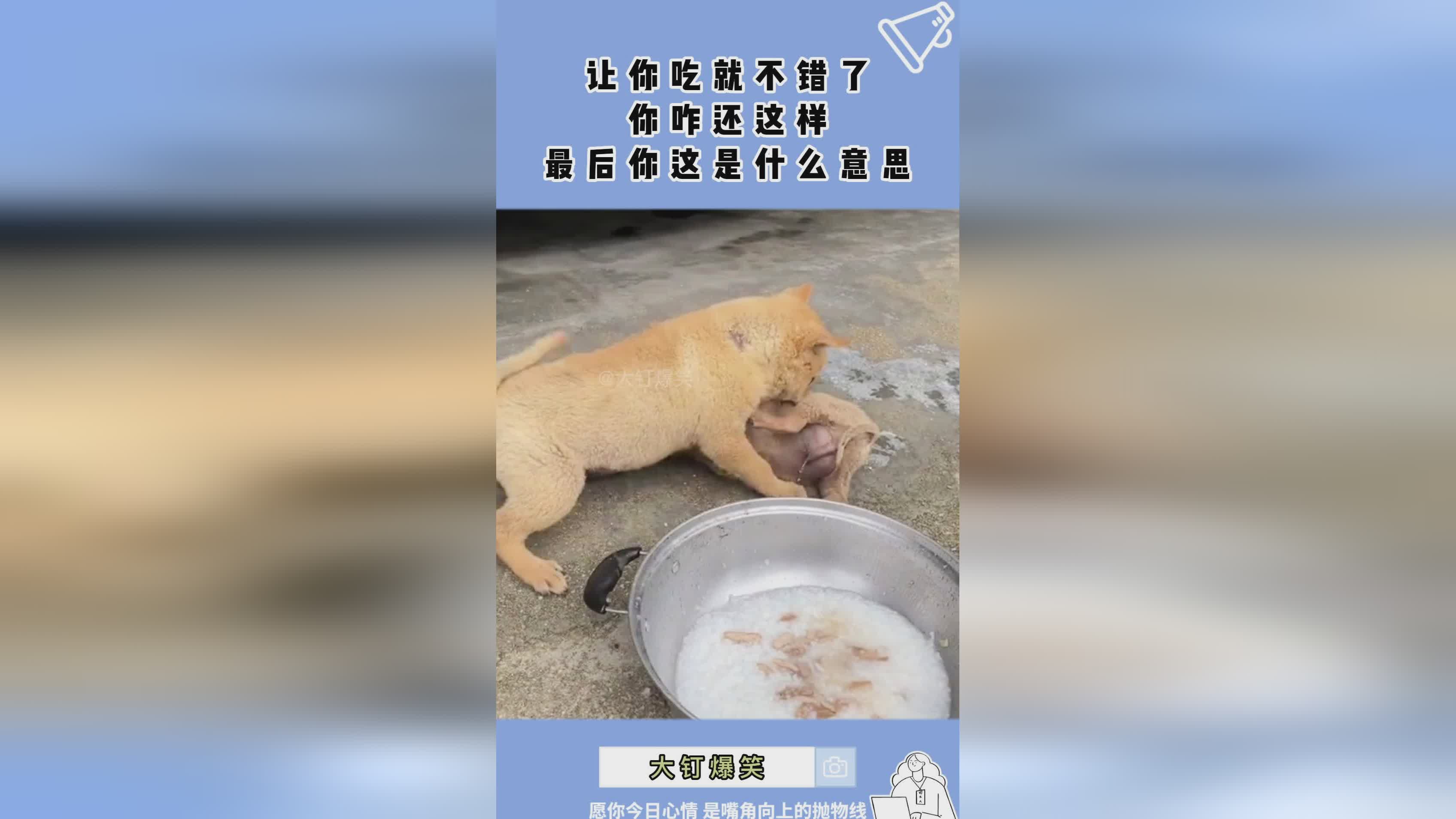 cba是什么意思啊，本赛季cba有了外援的存在